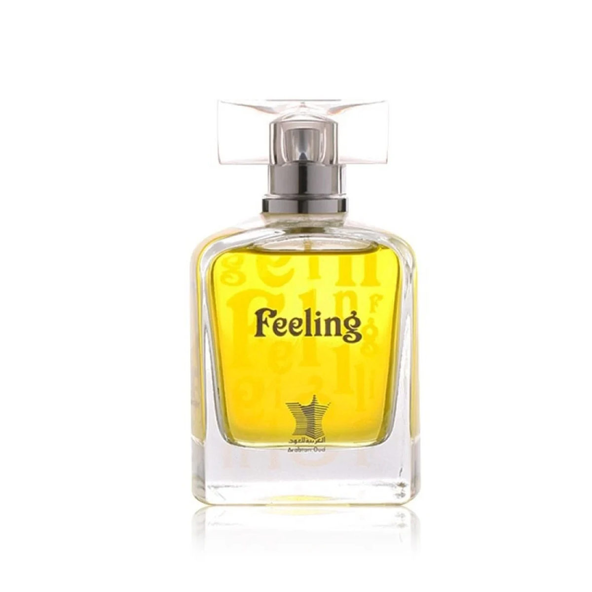 Feelings By Arabian Oud فيلنج من العربية للعود (100مل للجنسين)