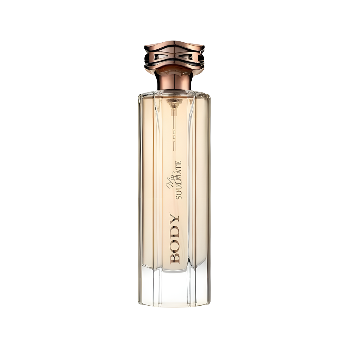 My Soulmate Body Fragrance World (100مل ستاتي) بديل بربري بودي
